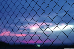 fence_bokeh-wallpaper-1440x900