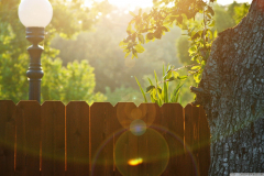 wood_fence-wallpaper-1440x900